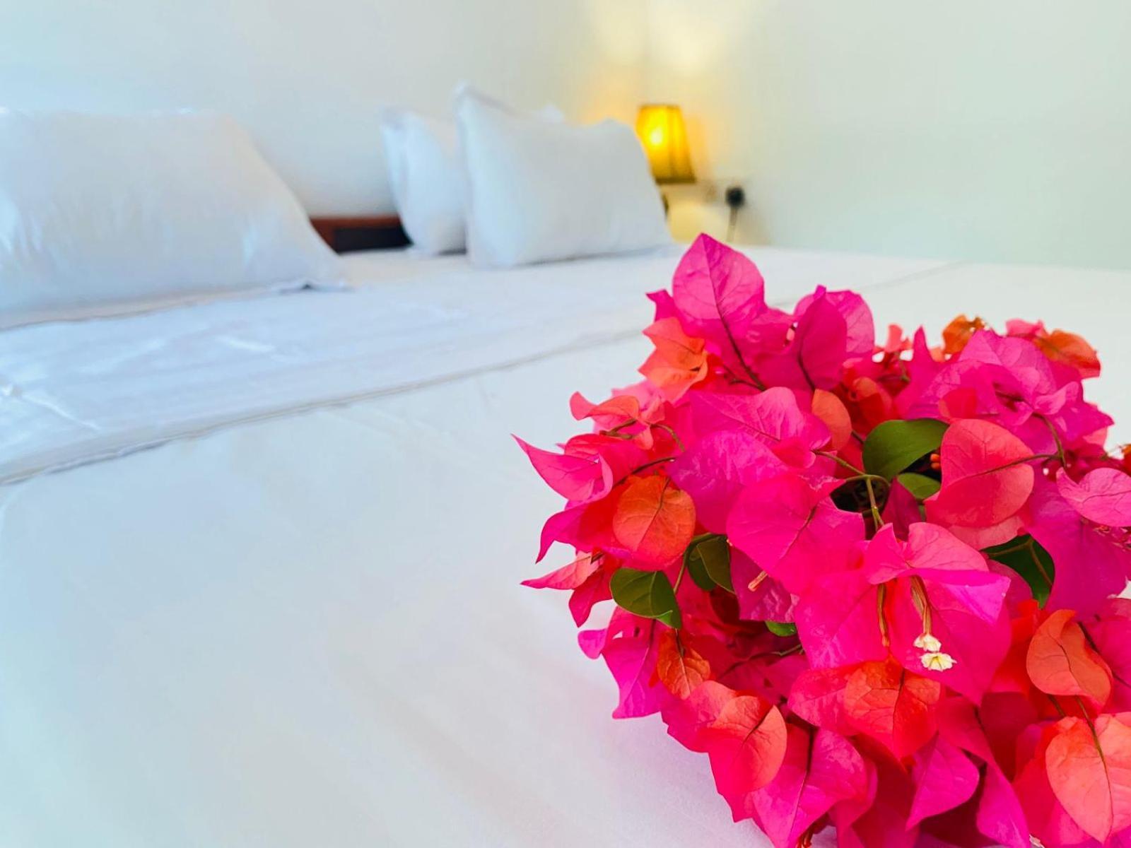 Aaliya Bay Hotell Arugam Bay Exteriör bild